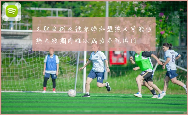 文胖分析米德尔顿加盟热火可能性热火短期内难以成为夺冠热门