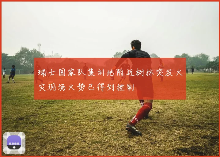 瑞士国家队集训地附近树林突发火灾现场火势已得到控制